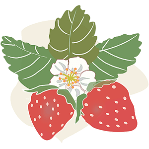 Hand-drawn image of strawberries