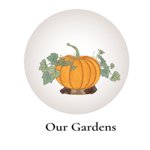 Handrawn image of pumpkin and leaves. Links to section about our gardens.