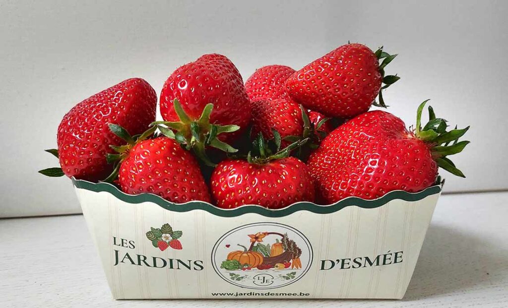 raviers avec des fraises de les jardins d'esmee