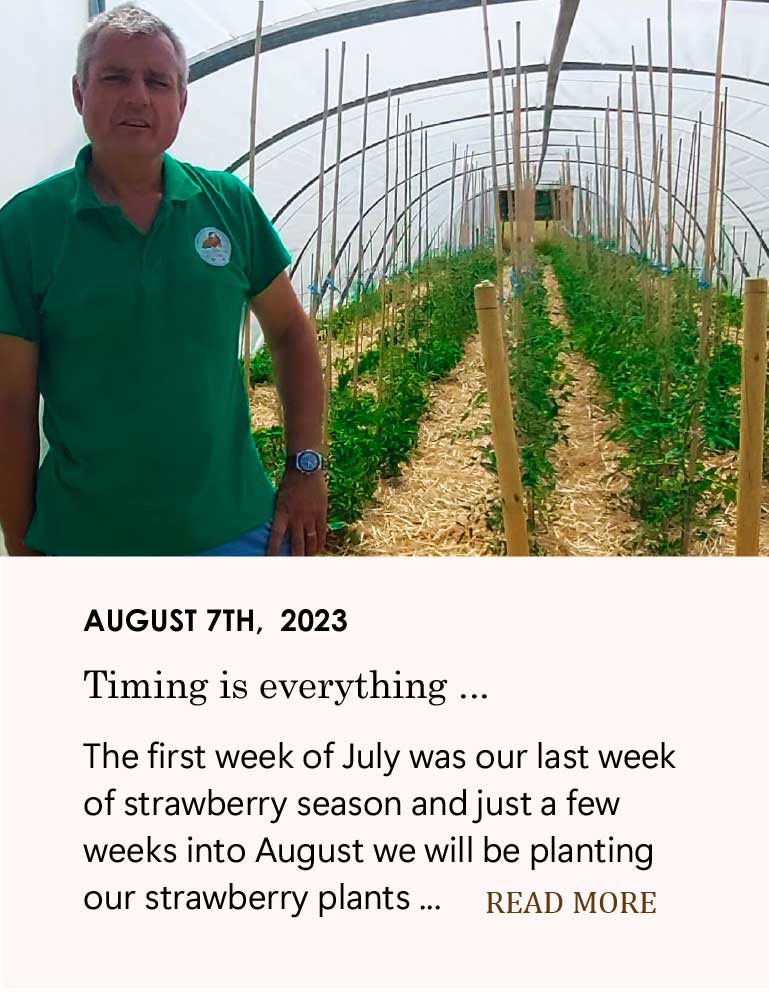 Christophe avec sa serre à tomates