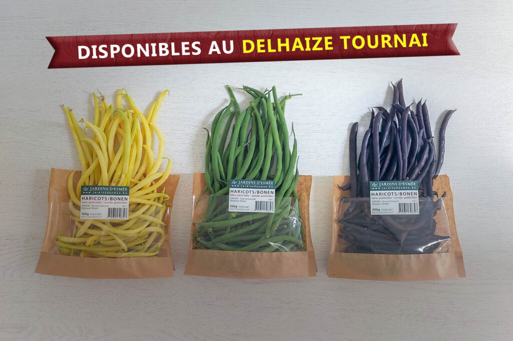 Haricots des Jardins d'Esmée maintenant disponibles au Delhaize Tournai